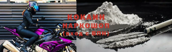 прущий лед Новозыбков
