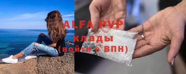 прущий лед Новозыбков