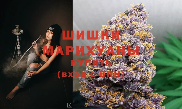 прущий лед Новозыбков