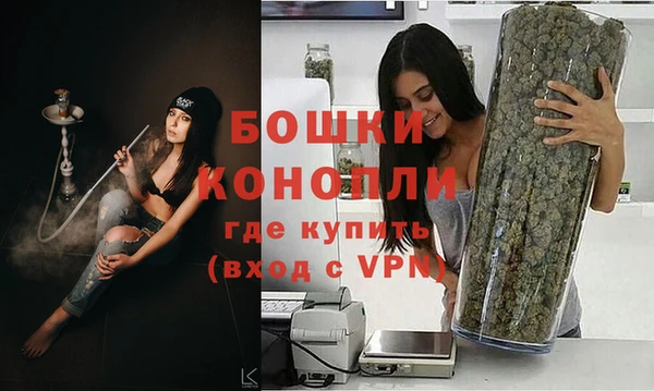 сатива Нязепетровск