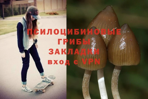 кокс Новокубанск