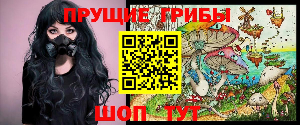 Мытищи  Псилоцибиновые грибы мухоморы  Вход с VPN  Псилоцибиновые грибы MAGIC MUSHROOMS 